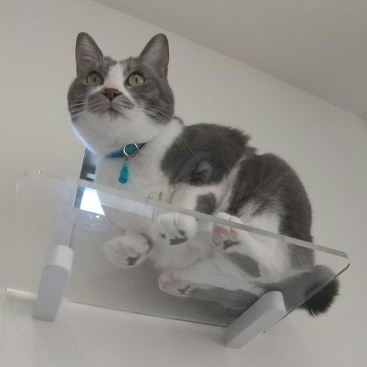 78ebdae9 0326 48f8 8d87 4fefd22ddb0d 1642487493552