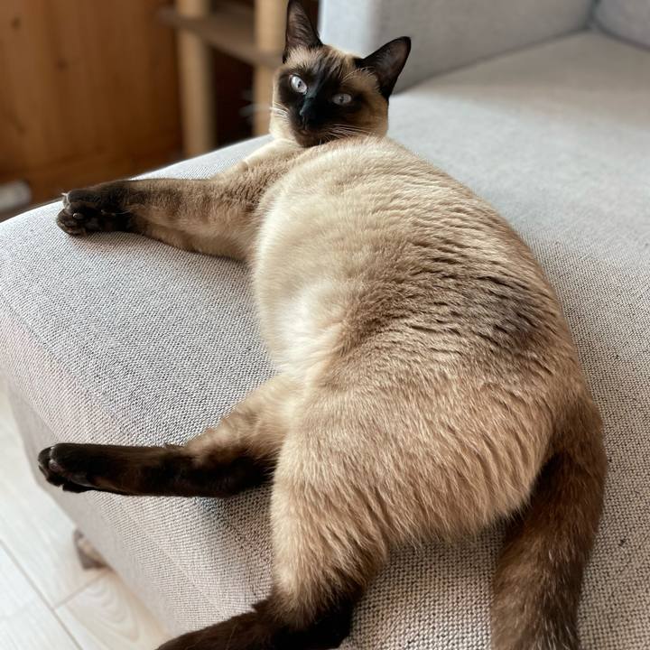 78ebe307 cd8f 467d a8b5 befda7b19b1f 1720252105889