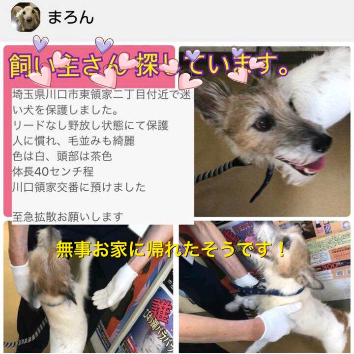 78ebe604 e6fd 475a b75c a3b123bb6ee3 1536534054863
