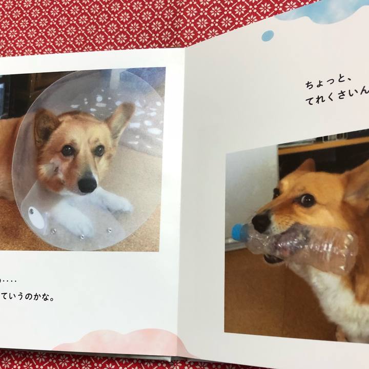 78ebebc6 3f0e 4bc7 818a 1c299555fdca 1530952686262