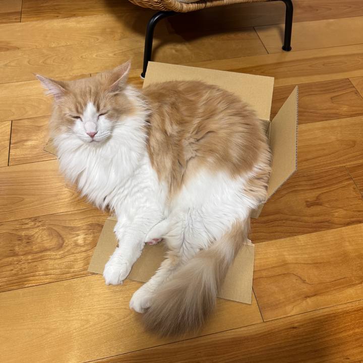 78ebecf3 5fbb 4e84 bd17 b9e02bf42872 1759578368471