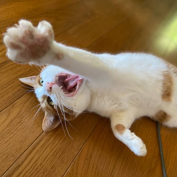 78ec0c7f 292e 460b a976 eea5a795b279 1623313913017