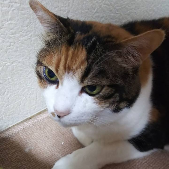 78ec2006 cc48 46e5 a78c f88e33ab0200 1567304252395