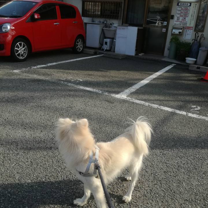 78ec47d7 0238 40ce a2b0 507cd94aa6e2 1510733906659