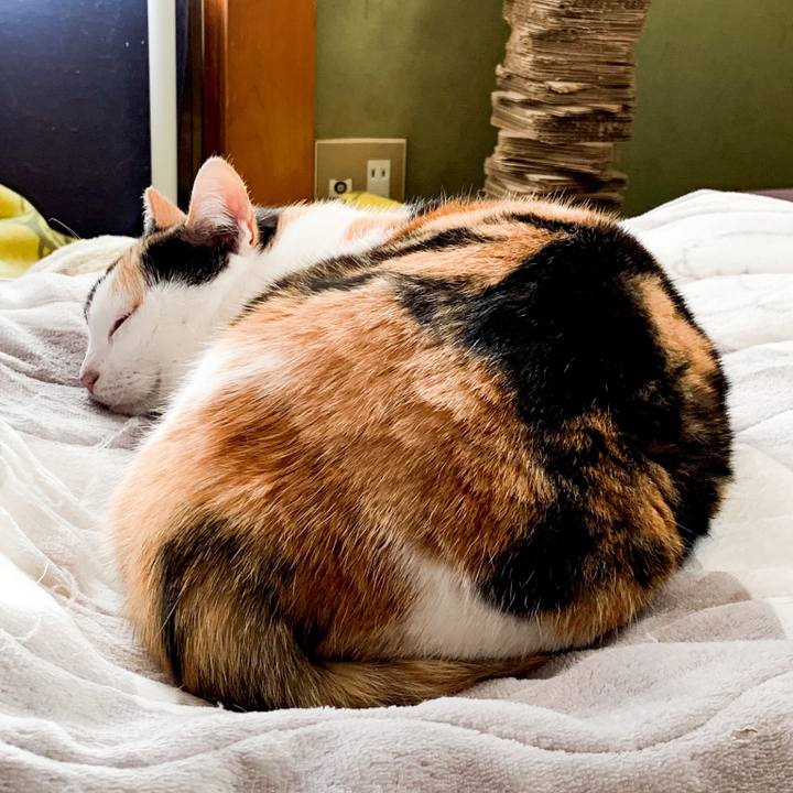 78ec69ee e685 4a1e 9db8 8cd2cae428e3 1546824240170