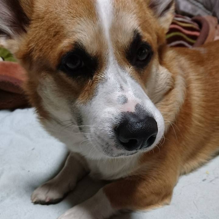 78ec6e4b d7b8 49a6 8b32 0b171e7ab8c1 1590474185792