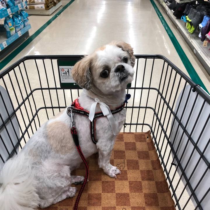 78ec8f8b 98a0 4282 b292 6419dfa582fe 1591566342951