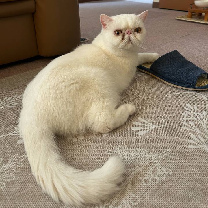 78ecba71 f2b1 4b3b a98f 78e0489d8d7c 1760318539920