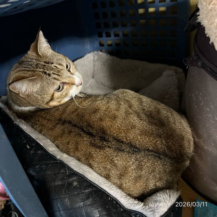 78ecd337 8558 4e9f b68b 91c87091437c 1773180105483