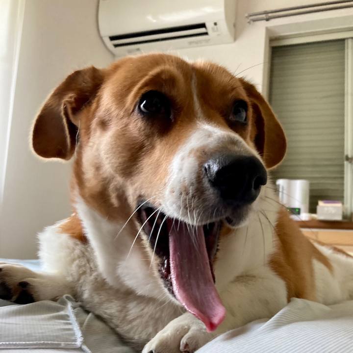 78ecfe65 c1b9 42f1 ac0c 6071c4e15a84 1662423059999