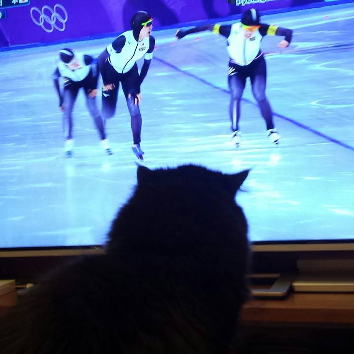 78ed2020 64a1 4ef5 9239 92a378257525 1519218629222