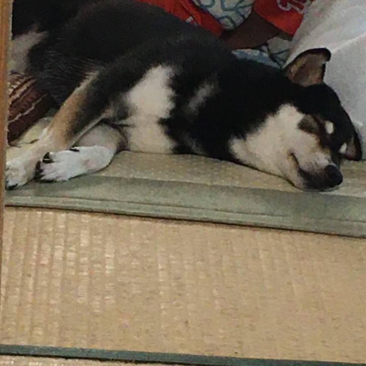 78ed720b 4495 4179 bb64 6182ad3f5f4c 1626598192926