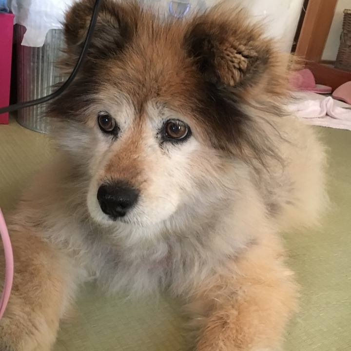 78ed77f0 5ac8 4451 bd5b db9795808d1c 1620999164608