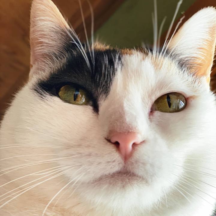 78ed856f 7829 42a6 8493 e7f56d90c773 1554774636133