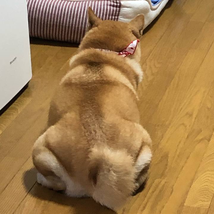 78eda3db 910e 4a63 8d33 6f426bda11c0 1563259155666