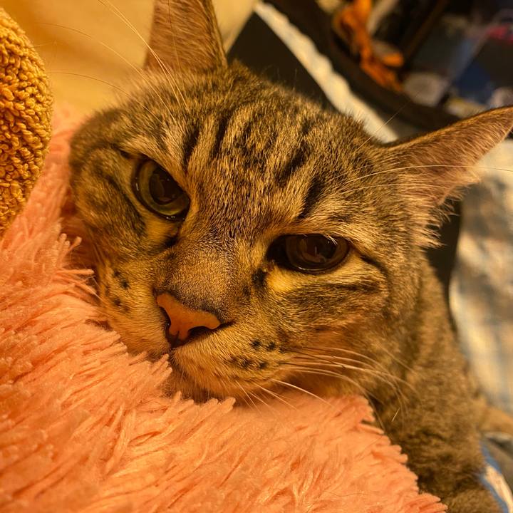 78edc1ed b6e7 41ab 9ae1 50ab88ef02fa 1697283226941