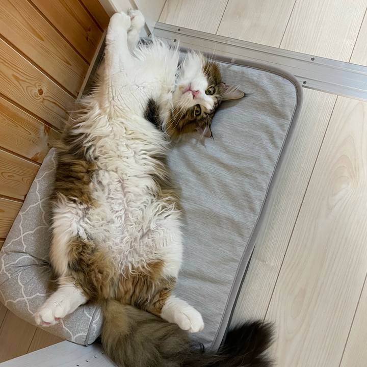 78edd697 6f99 498e 92ee 7c06da735249 1652530700011