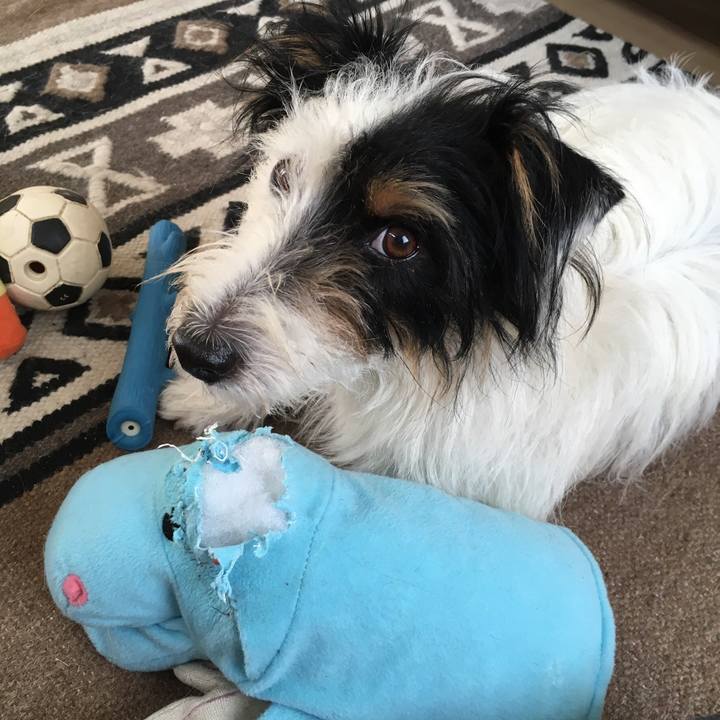 78edd7a5 a01b 45a6 b05e e35af0cedac8 1519858349650