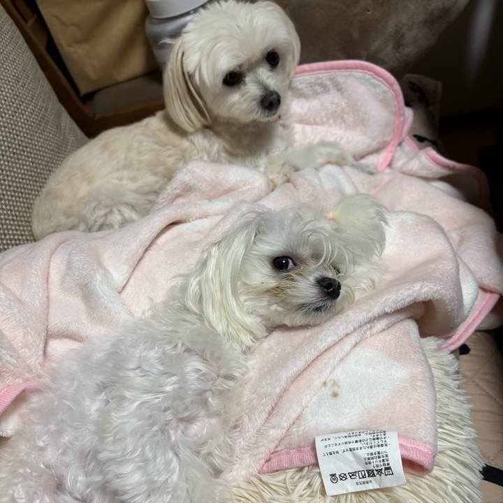 78edf73b 9739 45ad b128 eaf540a2dd74 1733227983907