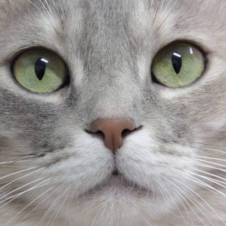 78ee23b5 56f7 4633 8235 c0ecd36df9d6 1608091677342