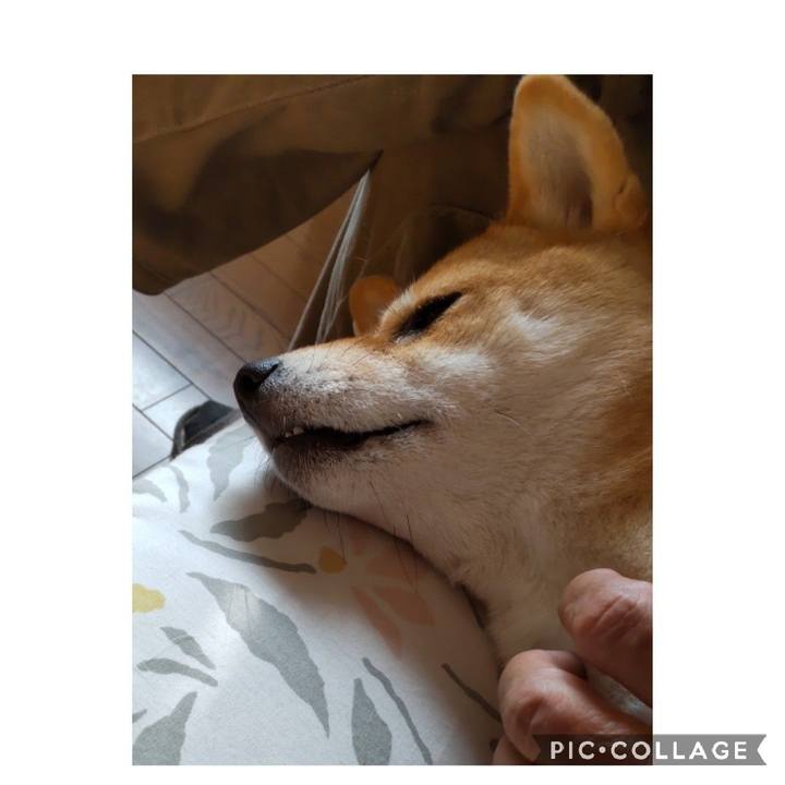 78ee7f73 df78 4f67 ac2e 62d2102ad782 1667438429857