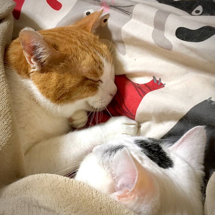 78eec9c3 626a 465d 90cd abb88757984e 1579768084737