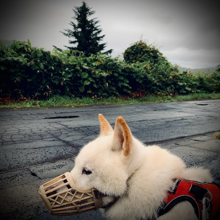 78eed465 79ca 46ae a8d4 27338a5e4bca 1658609713791