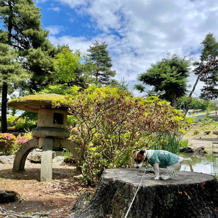 78eee3dc c6b3 47d3 8bd9 ca8da97b98f1 1654676531981