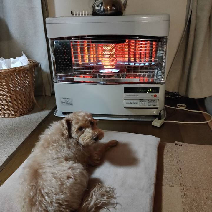 78ef0a6c b907 45ea b3ad 9d4272dc7b5a 1604867872900