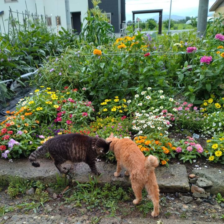 78ef4213 cf89 4690 8cde 493779a2f86a 1720561655582