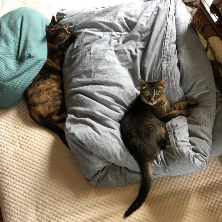 78ef54d1 61c6 4016 bb5a b9c576daa246 1719364501362