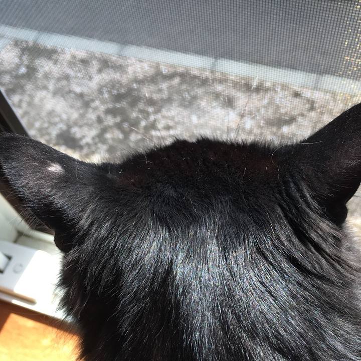 78ef60e9 ece4 4f3c 8a4f 8d106fe8e2e1 1524460319232