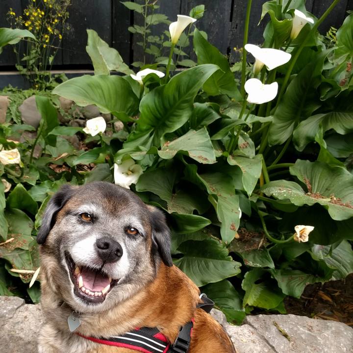 78ef64bf 9af8 4091 a40c 0ce183e73f6f 1681347195108