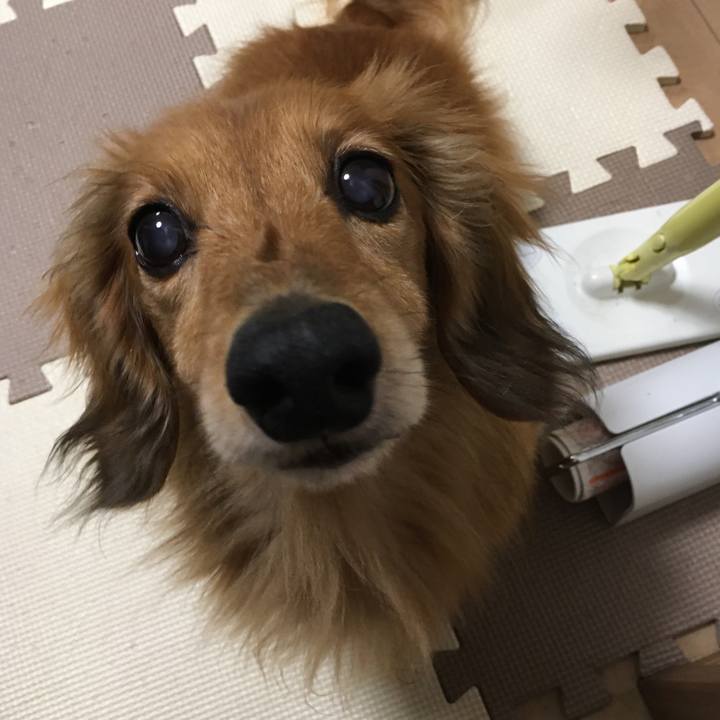 78ef833e f3aa 4416 a8db 50fdf09c1132 1592659856084