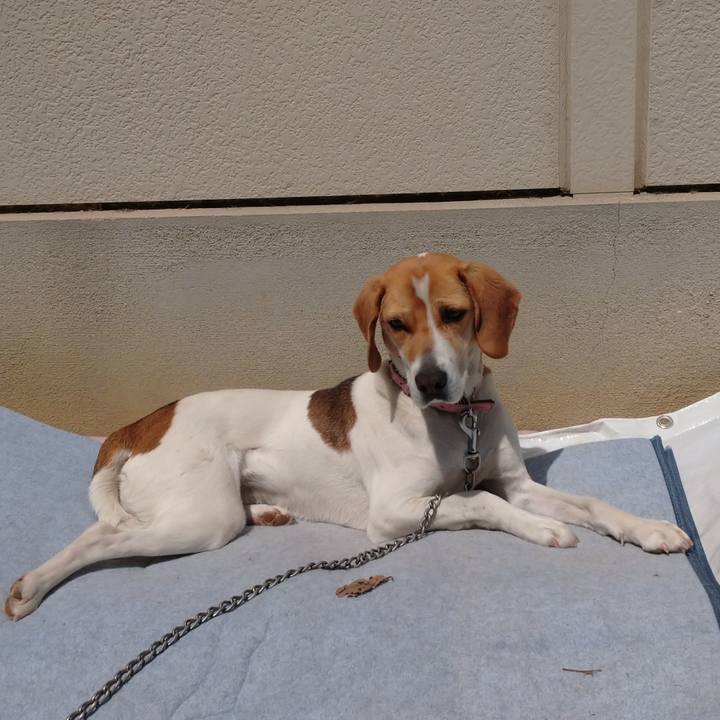 78efa5d1 273f 495a 8eb7 24d8f36e3a14 1587514051207