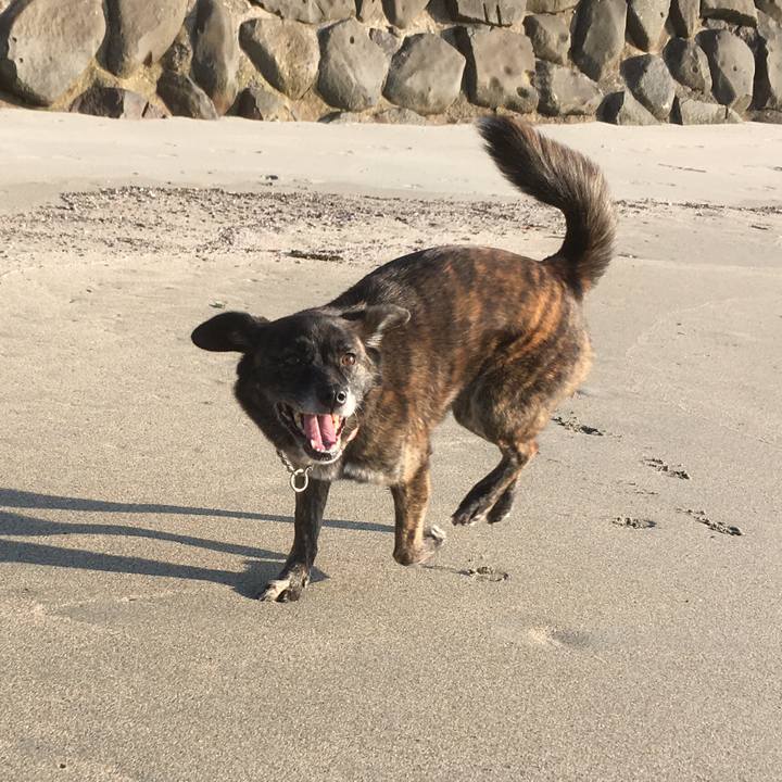 78efa7fb dd90 4745 bdc8 cacb450e82ed 1521775818220