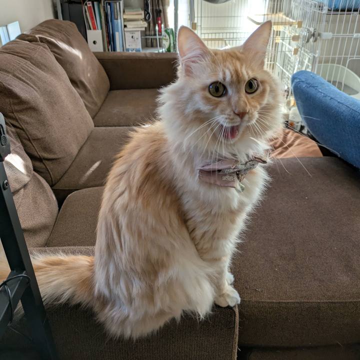 78efaf9e 8a7d 4f9a 8831 20b42f9606b2 1732348473313