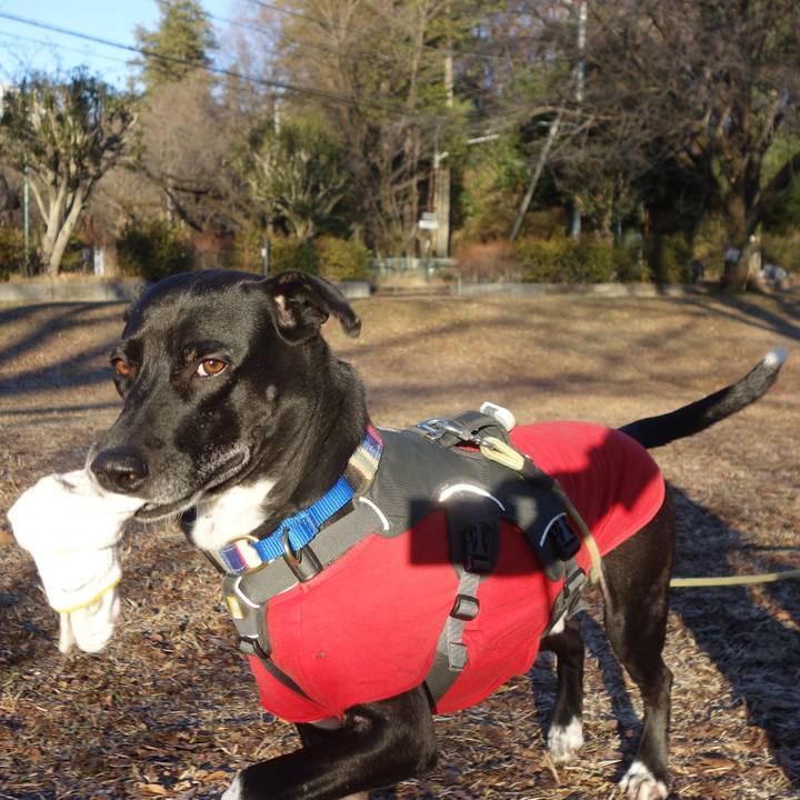 78efdf30 702d 4928 9ef1 0891abe7f3c3 1642123314086