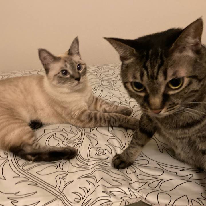 78f03a07 5af3 40f5 95ac 65743be0b430 1598622588673