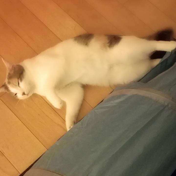 78f0527b 269d 4b72 9692 76e098cb2ebb 1526723623380