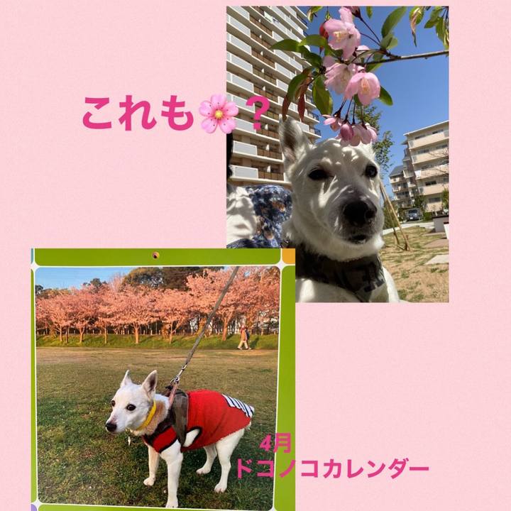 78f064b7 919e 4978 89b6 0ae04581a510 1617263014808