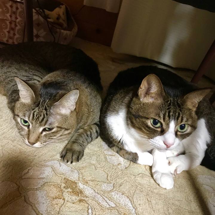 78f07783 007e 4ca4 b7df 61251edfd404 1544103197460