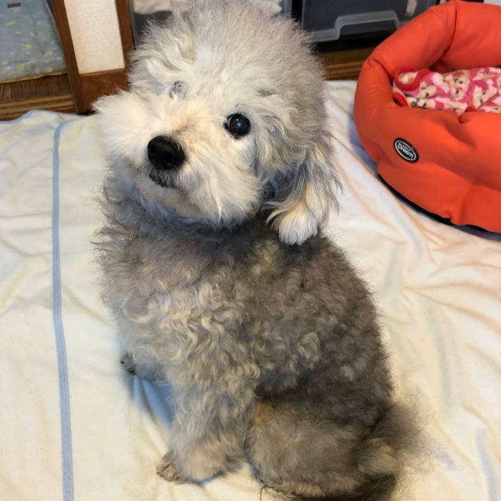 78f09548 2444 41c7 98a5 b487b54c90e0 1542151903005