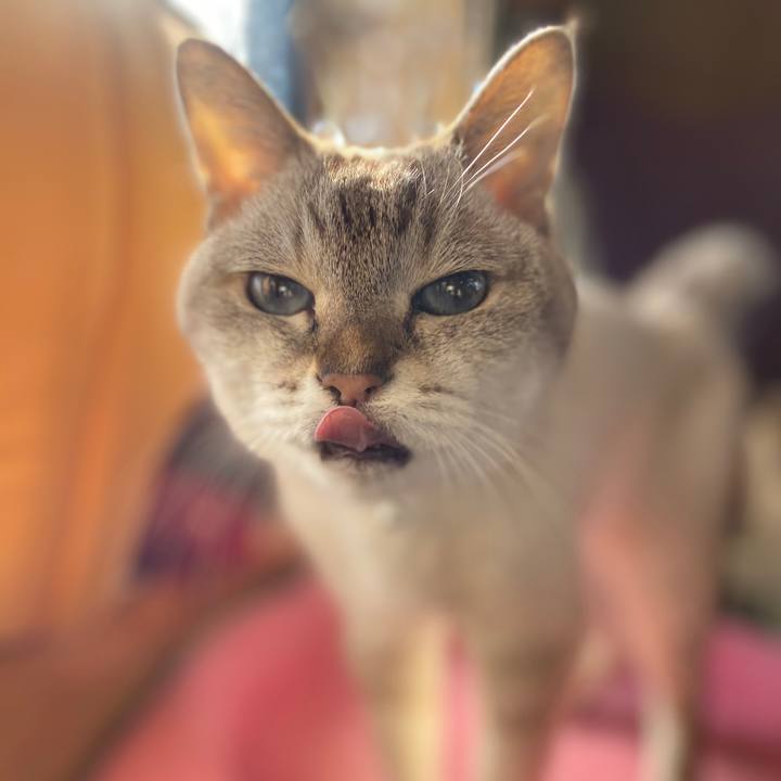 78f097dd 4a45 404c 9ab8 d652957d48fc 1604555765772