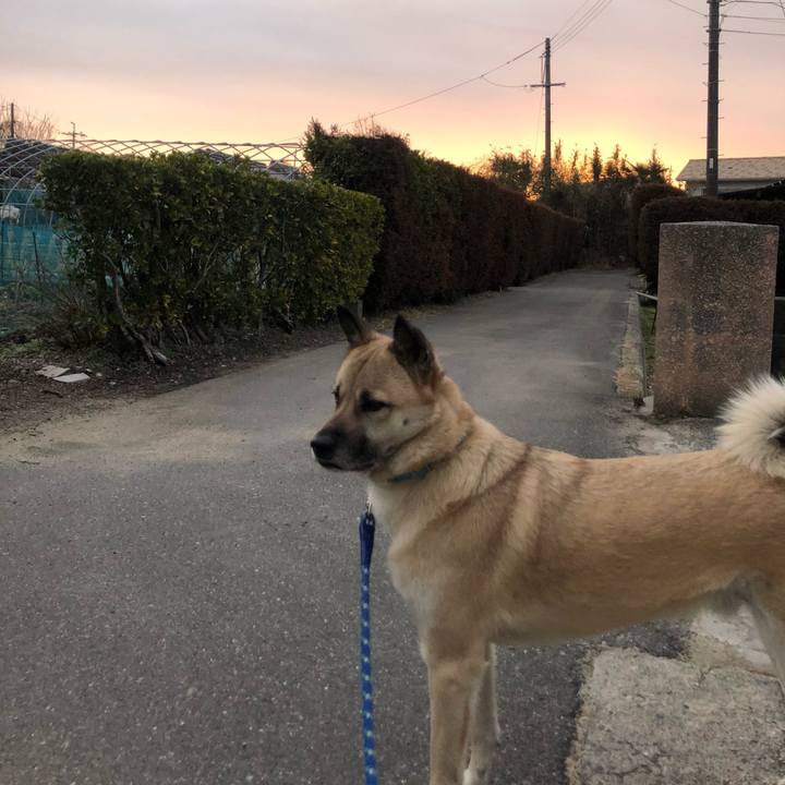 78f0bae8 b0a7 48ba 8277 2d1cbf69e9e5 1612181046955