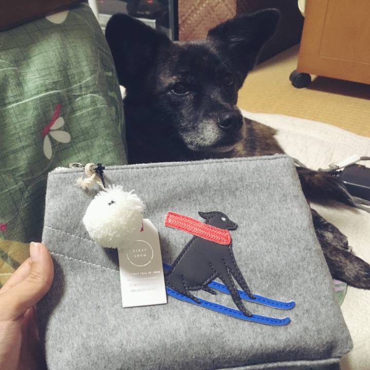 78f0d3a0 301b 462d acc3 edc2cfa760fe 1543058858156