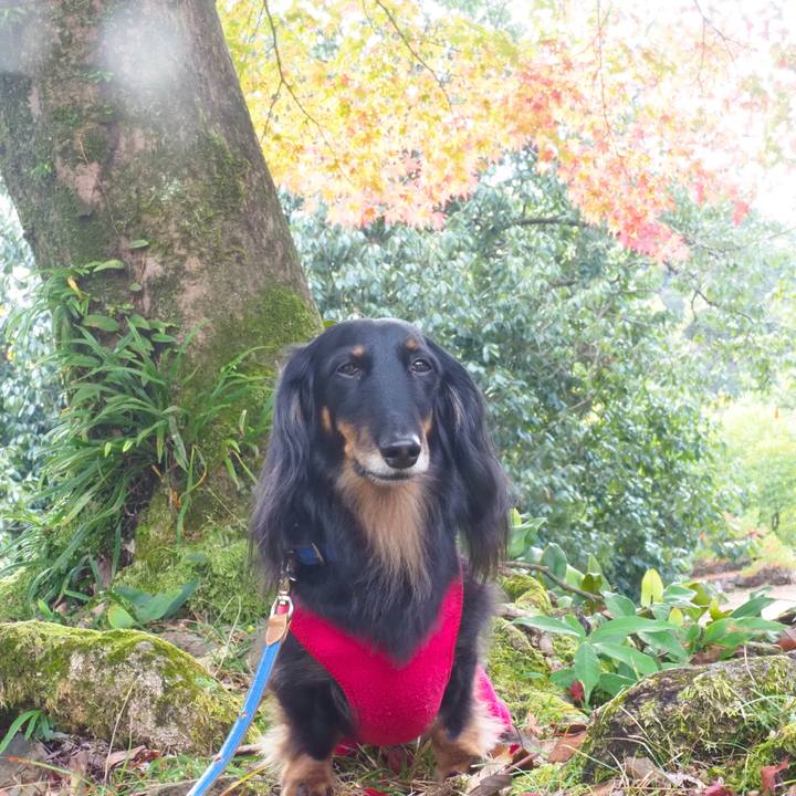 78f0e4be e087 486d 8a30 60ac4acf59ee 1700384445469