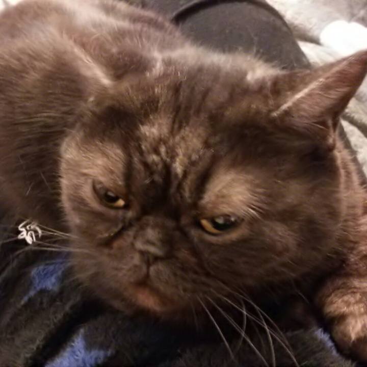 78f0f2d9 2fc6 4a58 a4cc f738dfa9205d 1581215105618