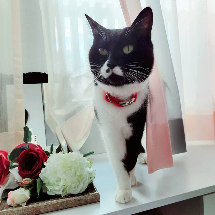 78f10ebc 32c0 4f1d 85b7 8c0be8ddddba 1737782614180