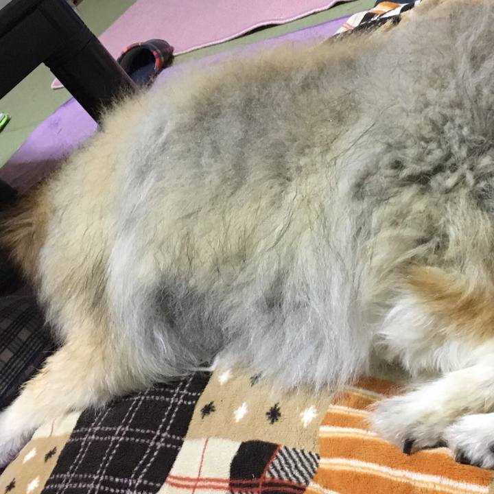 78f18c9a f8e6 4536 800e ec697fbcc697 1600036969976